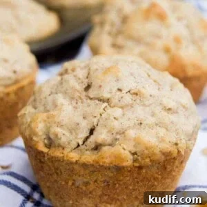 Walnut Oatmeal Spice Muffins