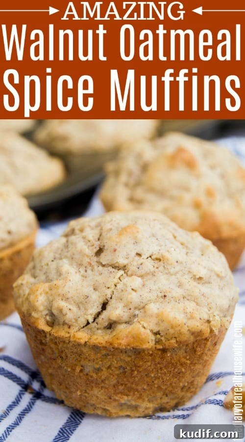 Walnut Oatmeal Spice Muffins