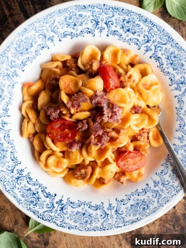 Fresh No-Cook Tomato Pasta Sauce Recipe for Quick Dinners 9 An overhead shot of pasta with sausage, tomato and burrata in a blue and white bowl.