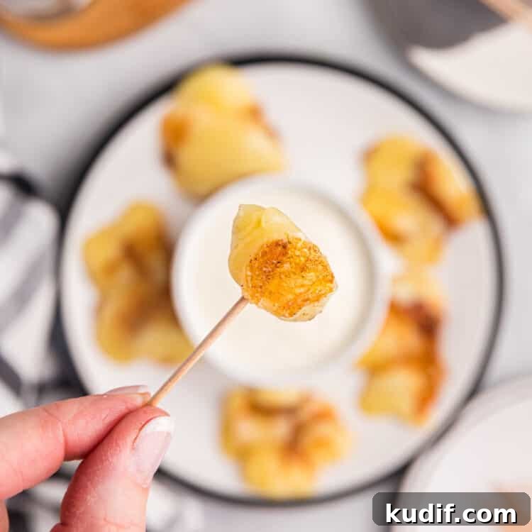 Crispy Blackstone Cheese Curds Recipe for Crowd-Pleasing Snack 8 Close-up image of Blackstone Cheese Curds