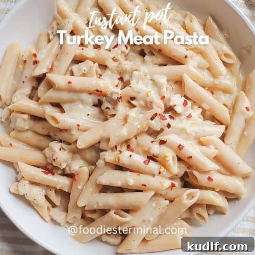 turkey meat pasta in a white plate