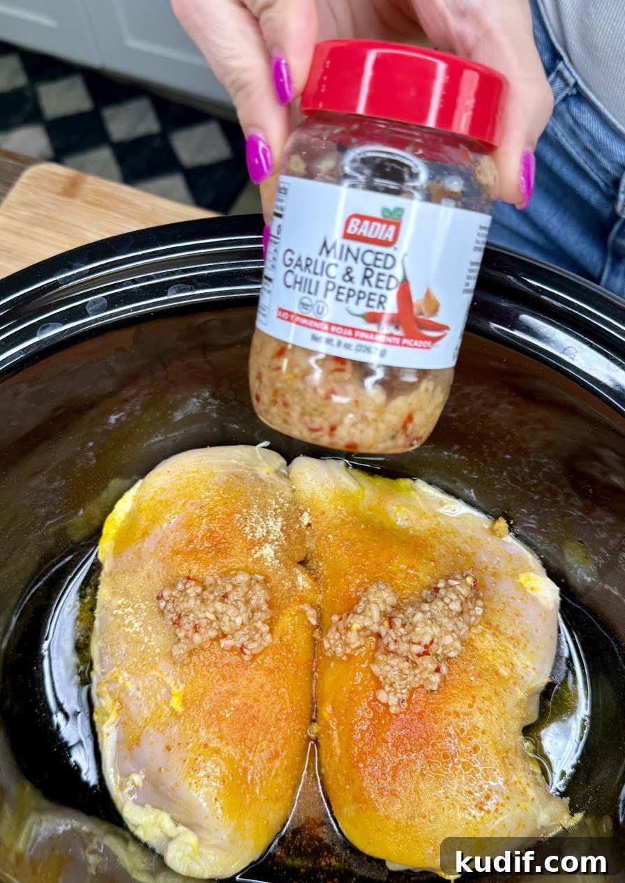 Crockpot Salsa Verde Chicken Recipe — Slow Cooker Dinner Idea 3 img 23745 2
