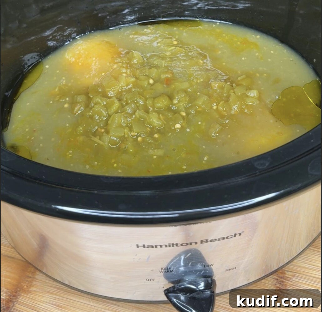 Crockpot Salsa Verde Chicken Recipe — Slow Cooker Dinner Idea 6 img 23745 5