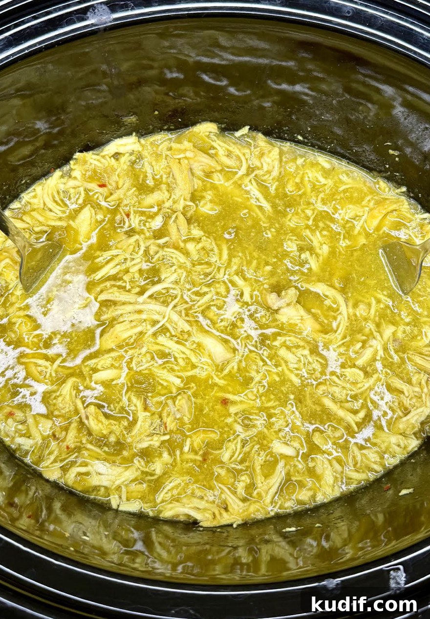 Crockpot Salsa Verde Chicken Recipe — Slow Cooker Dinner Idea 7 img 23745 6