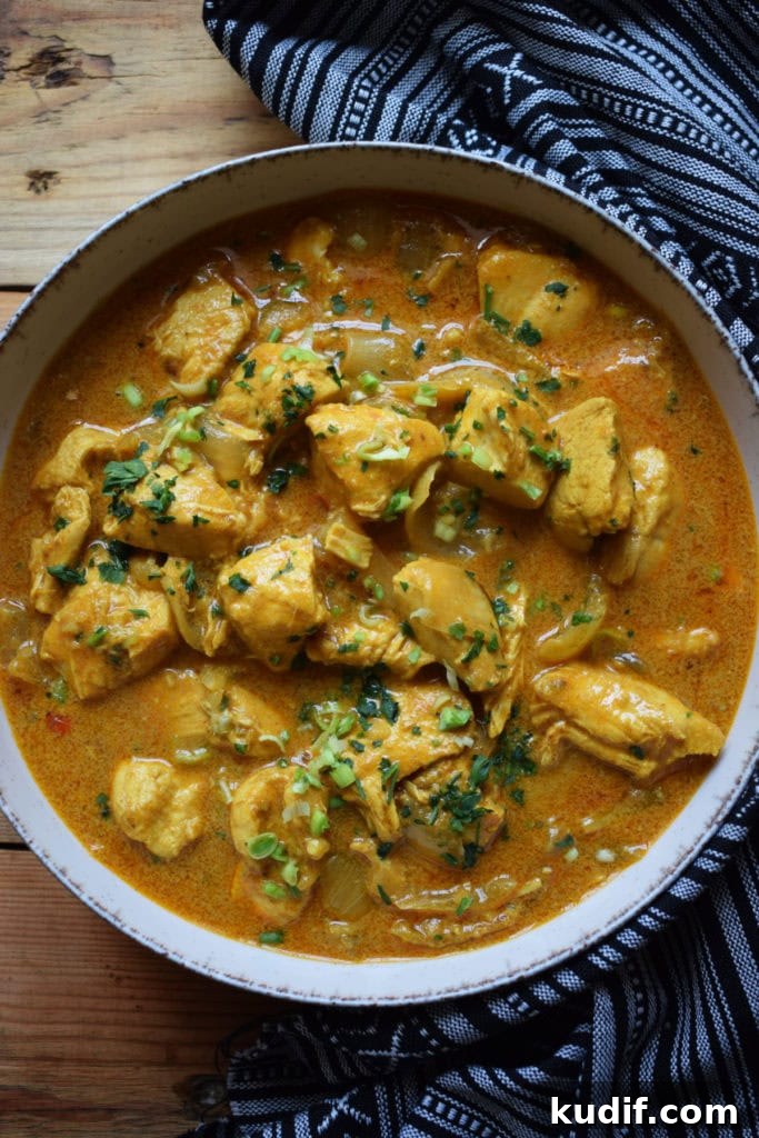slow cooker curry close-up