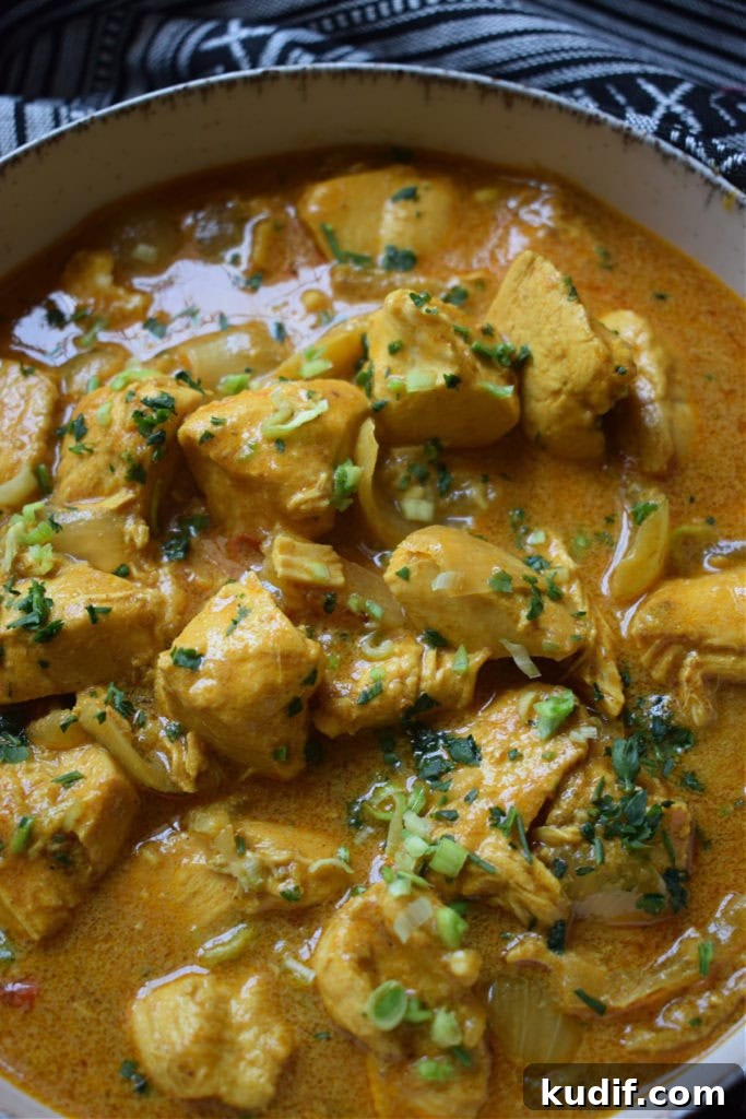 curry served with rice