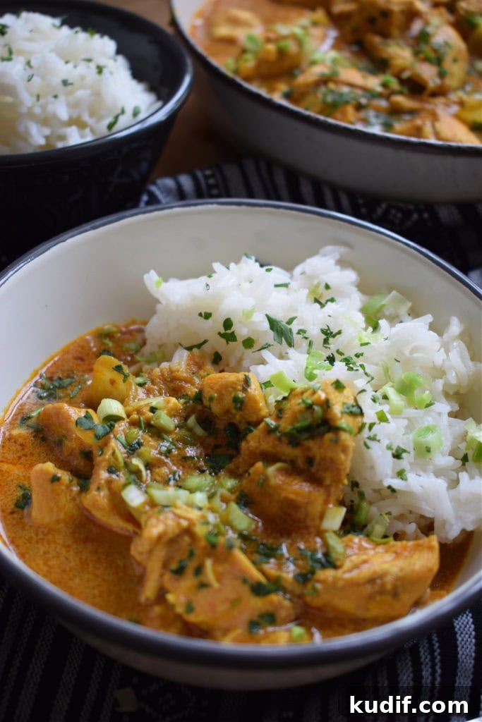final curry dish
