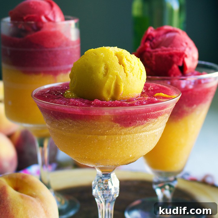 Fruity Wine Sorbet Slushies: Refreshing Adult Frozen Drinks 3 Fruit Sorbet Wine Slushies