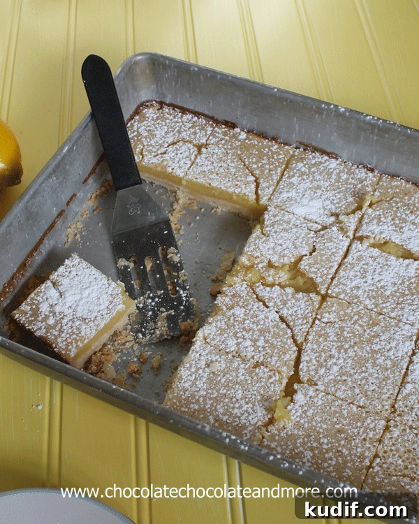 Chewy Snack Bars: Homemade Recipes and Flavor Ideas 4 Lemon Pie Bars
