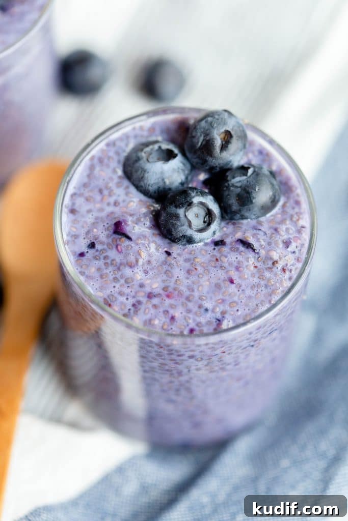 Blueberry Chia Pudding