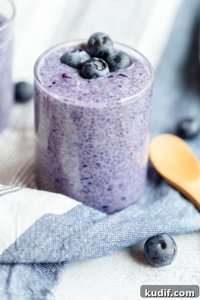Blueberry Chia Pudding