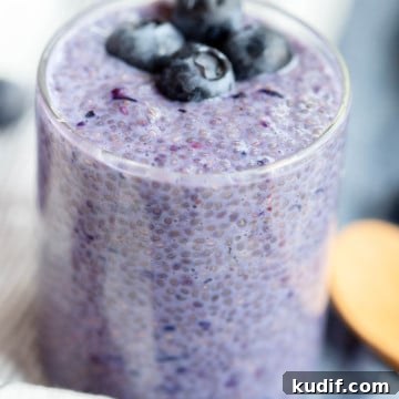 Blueberry Chia Pudding