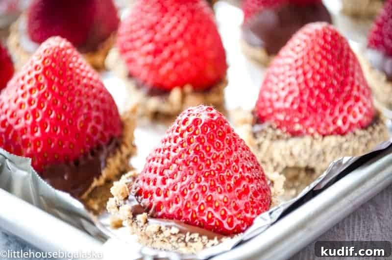 Quick Berry Desserts to Satisfy Sweet Cravings Fast 6 Berries stuffed with cheesecake dipped in chocolate and graham cracker crumbs.