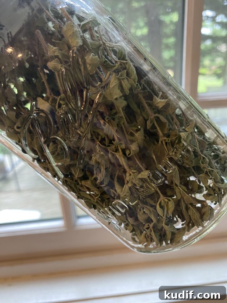How to Harvest and Dry Oregano and Thyme for Strong Flavor 4 Dried oregano