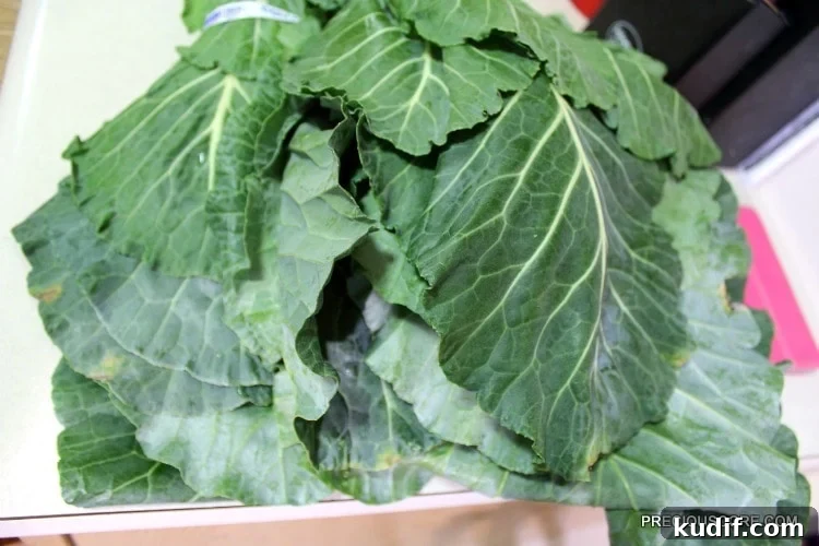 How to Make Authentic Ekwang: Step-by-Step Cameroonian Recipe 7 Fresh collard greens for Ekwang.