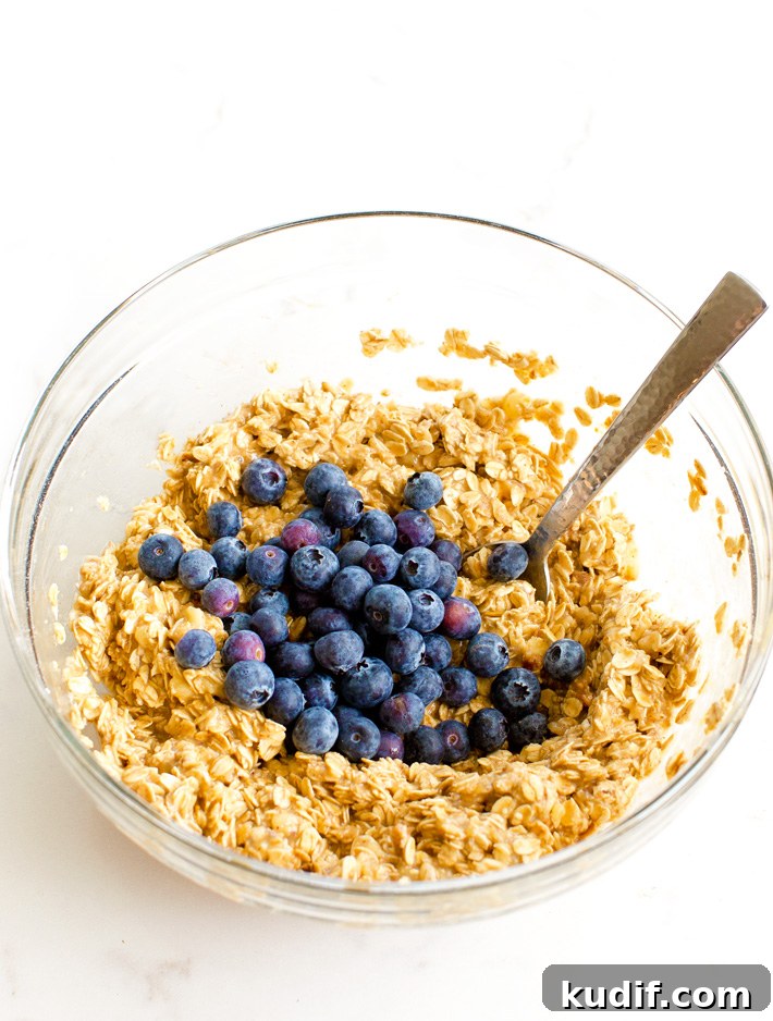 Blueberry Oats Blueberry Oats