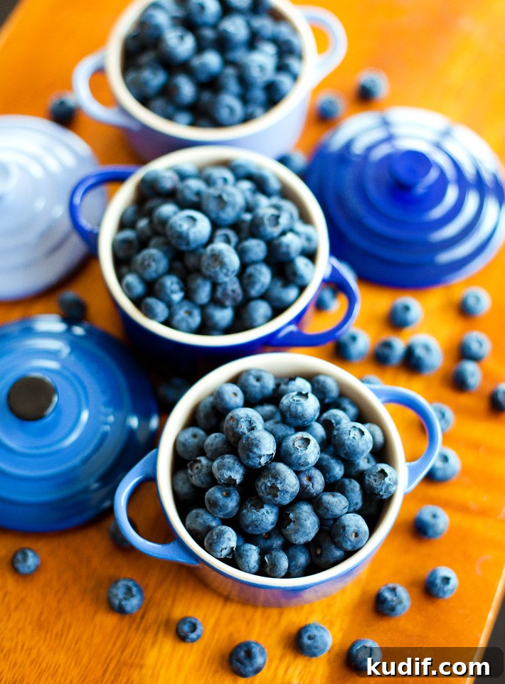 Fresh or Frozen Blueberries Fresh or Frozen Blueberries