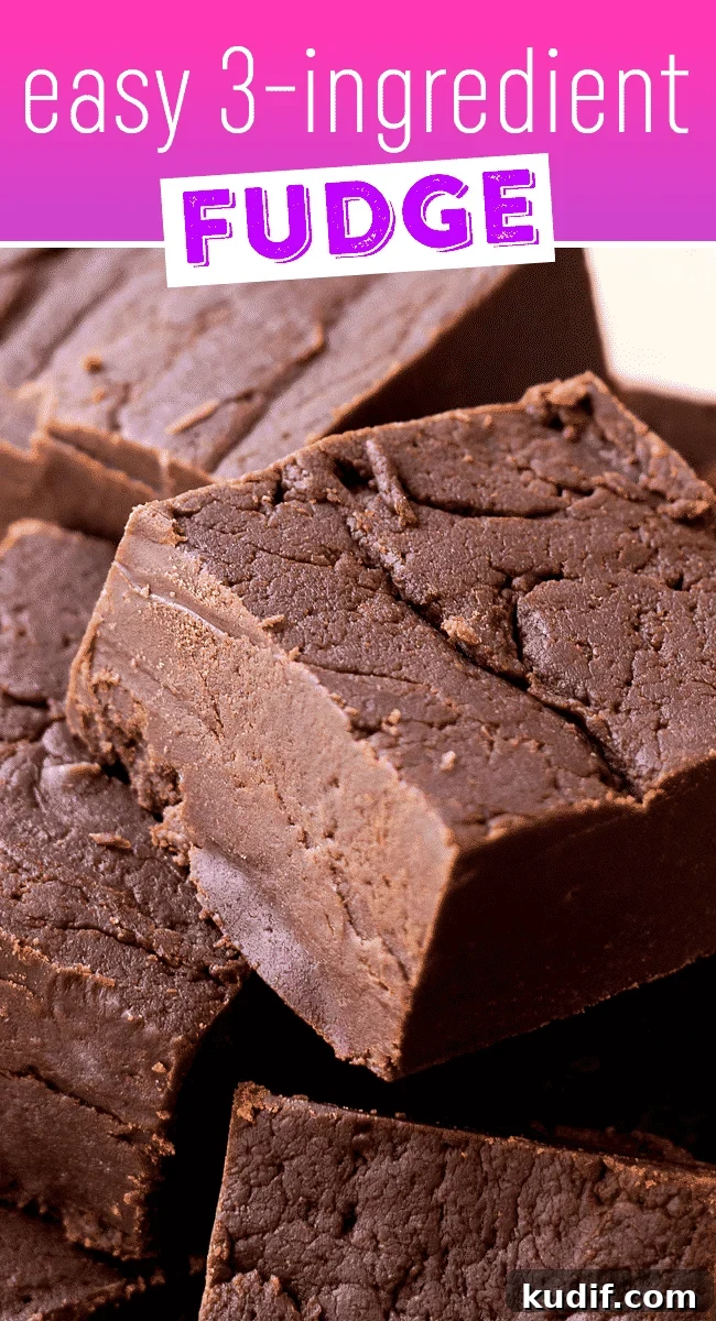 3-Ingredient Fudge Recipe with Just Cocoa, Condensed Milk & Butter 4 easy fudge recipe with sweetened condensed milk