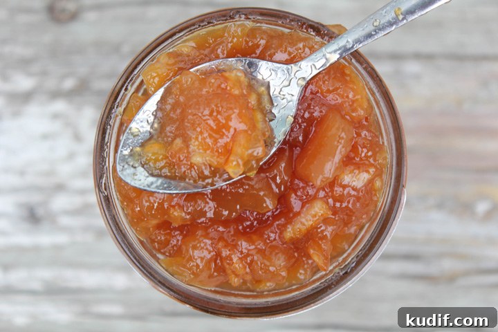 How to Make Homemade Blood Orange Marmalade: Tangy Citrus Jam 2 Blood Orange Marmalade