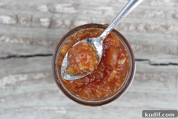 How to Make Homemade Blood Orange Marmalade: Tangy Citrus Jam 4 Blood Orange Marmalade