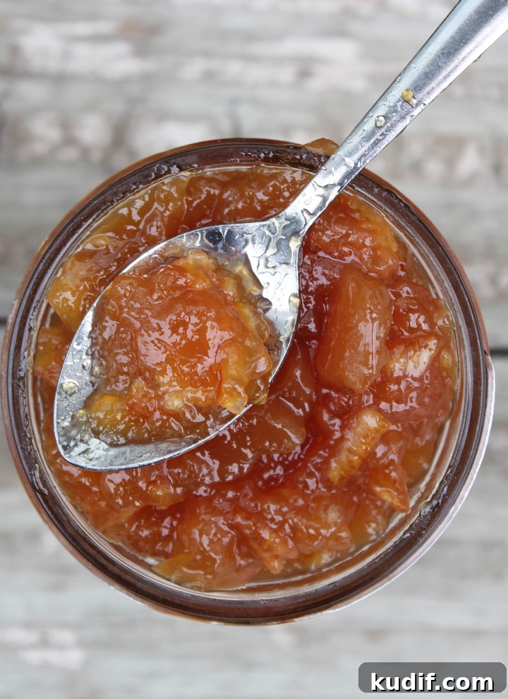 How to Make Homemade Blood Orange Marmalade: Tangy Citrus Jam 5 Blood Orange Marmalade