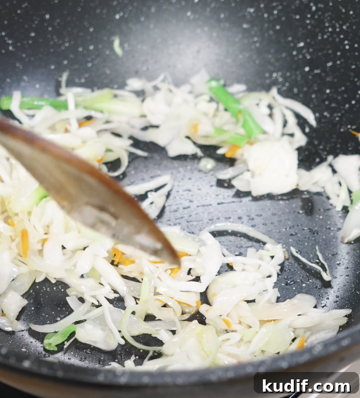 Authentic Chicken Chow Mein Recipe: Quick Stir-Fry Noodles 8 Shredded cabbage and carrots are stir-fried in the wok until wilted, adding color and texture to the chow mein.
