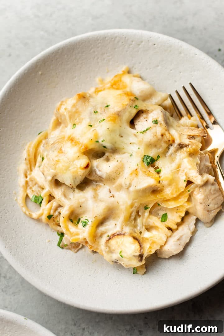 Creamy Three-Cheese Chicken Tetrazzini Recipe 3 Chicken Tetrazzini in a shallow bowl with a gold fork