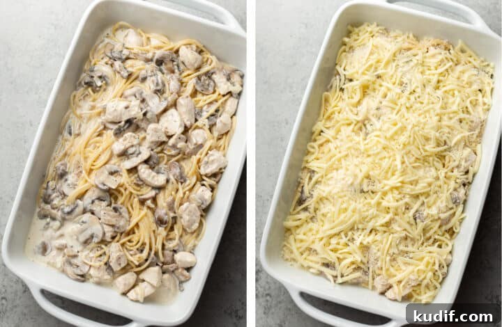 Creamy Three-Cheese Chicken Tetrazzini Recipe 6 topping a baking dish of chicken tetrazzini with cheese