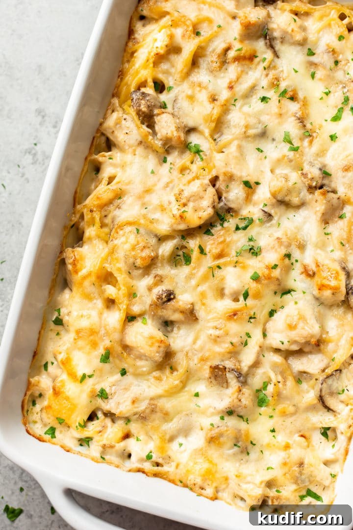 Creamy Three-Cheese Chicken Tetrazzini Recipe 7 Chicken Tetrazzini in a white baking dish