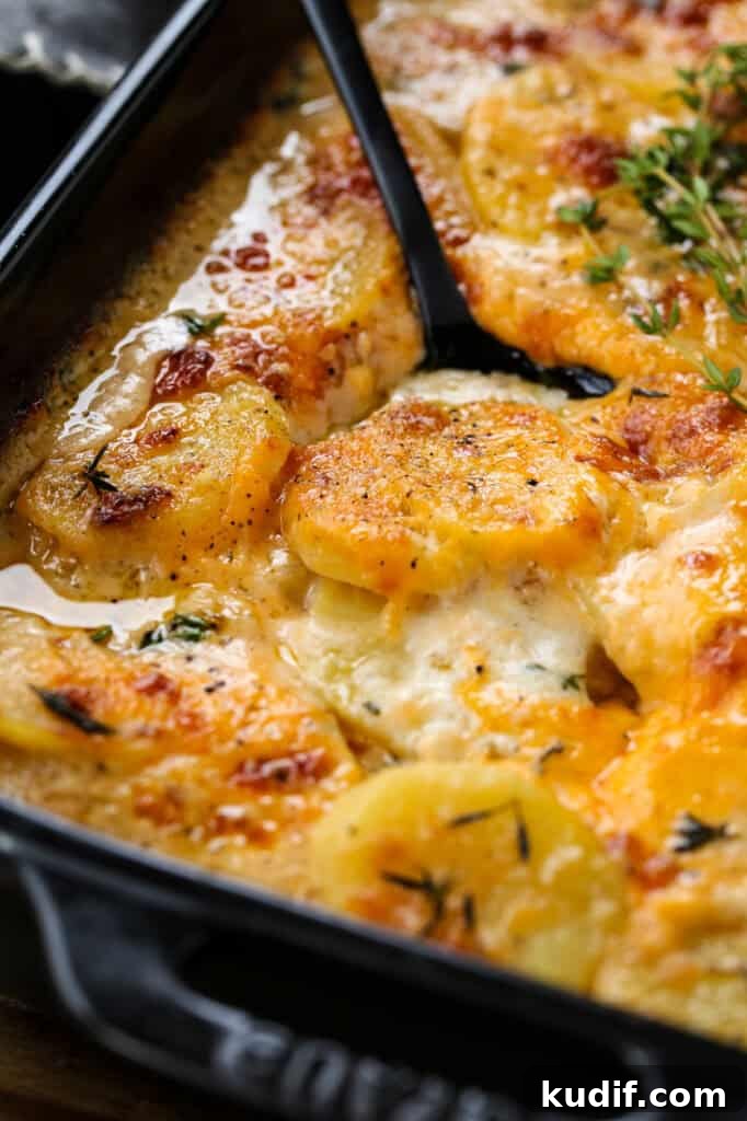 potato gratin in a black baking dish with a spoon