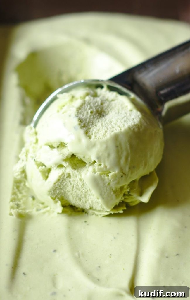 Green Tea Ice Cream Recipe Green Tea Ice Cream Recipe