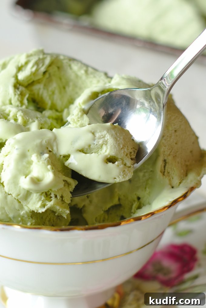 No Churn Ice Cream Recipes No Churn Ice Cream Recipes