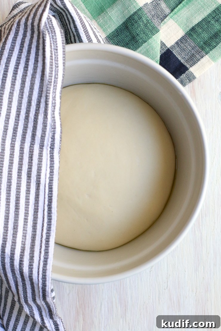 dough rising