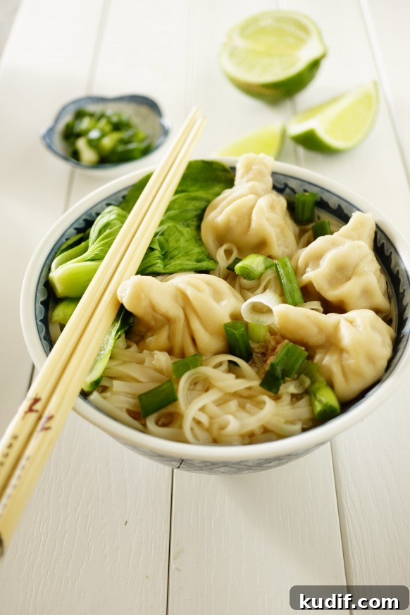 Thai Shrimp Dumpling Noodles with Homemade Wonton Wrappers 2 Thai Shrimp Dumpling
