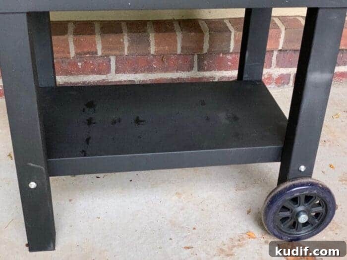 Camp Chef Woodwind WiFi Grill Review: Features, Performance & Tips 4 img 41725 3