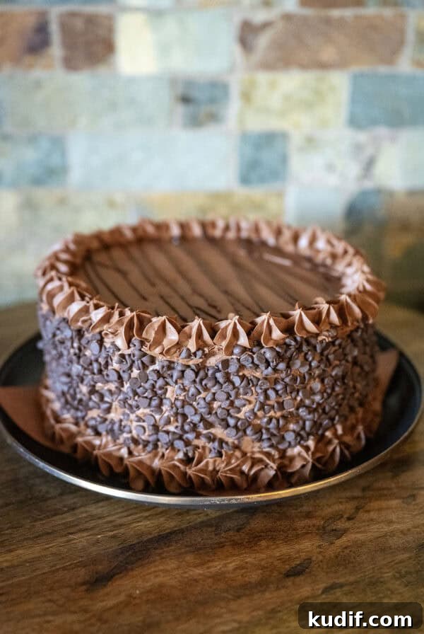 Slow Cooker Corned Beef Recipe for Tender, Flavorful Results 10 Chocolate Ganache Cake.