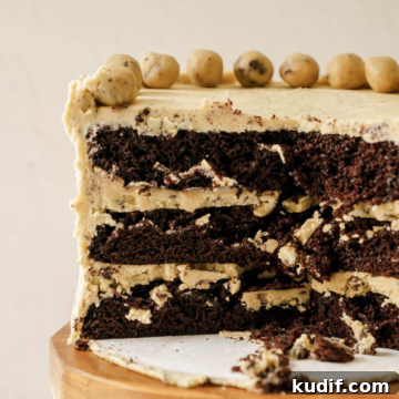 Chocolate Cookie Dough Cake