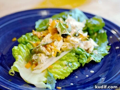 Thai Chicken Wrap Recipe: Flavorful Thai-Style Chicken Wraps 2 thai chicken wraps
