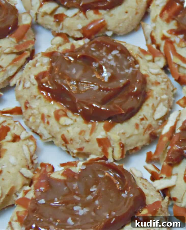 Roundup Image for Christmas Cookie Recipes 
