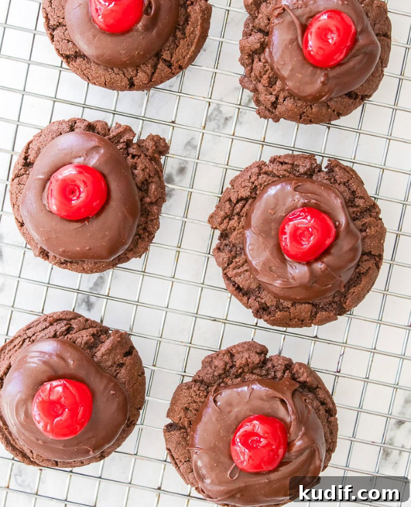 Roundup Image for Christmas Cookie Recipes 
