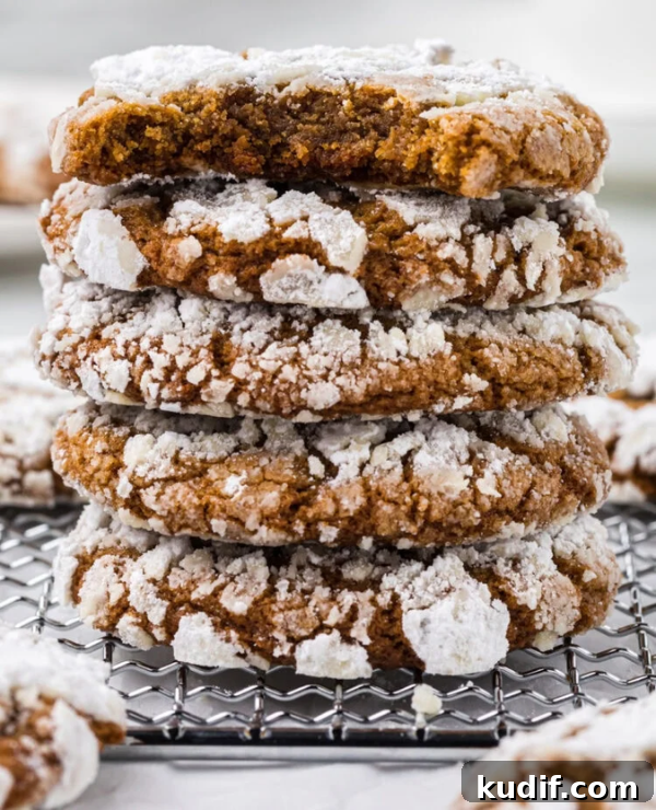 Roundup Image for Christmas Cookie Recipes 
