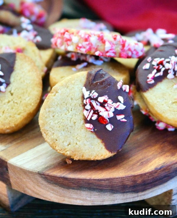 Roundup Image for Christmas Cookie Recipes 
