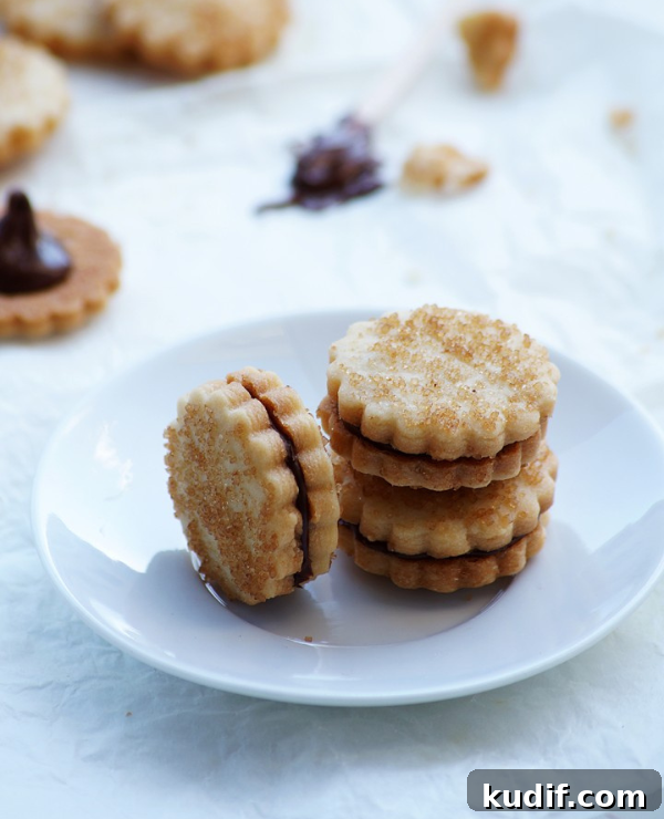Roundup Image for Christmas Cookie Recipes 
