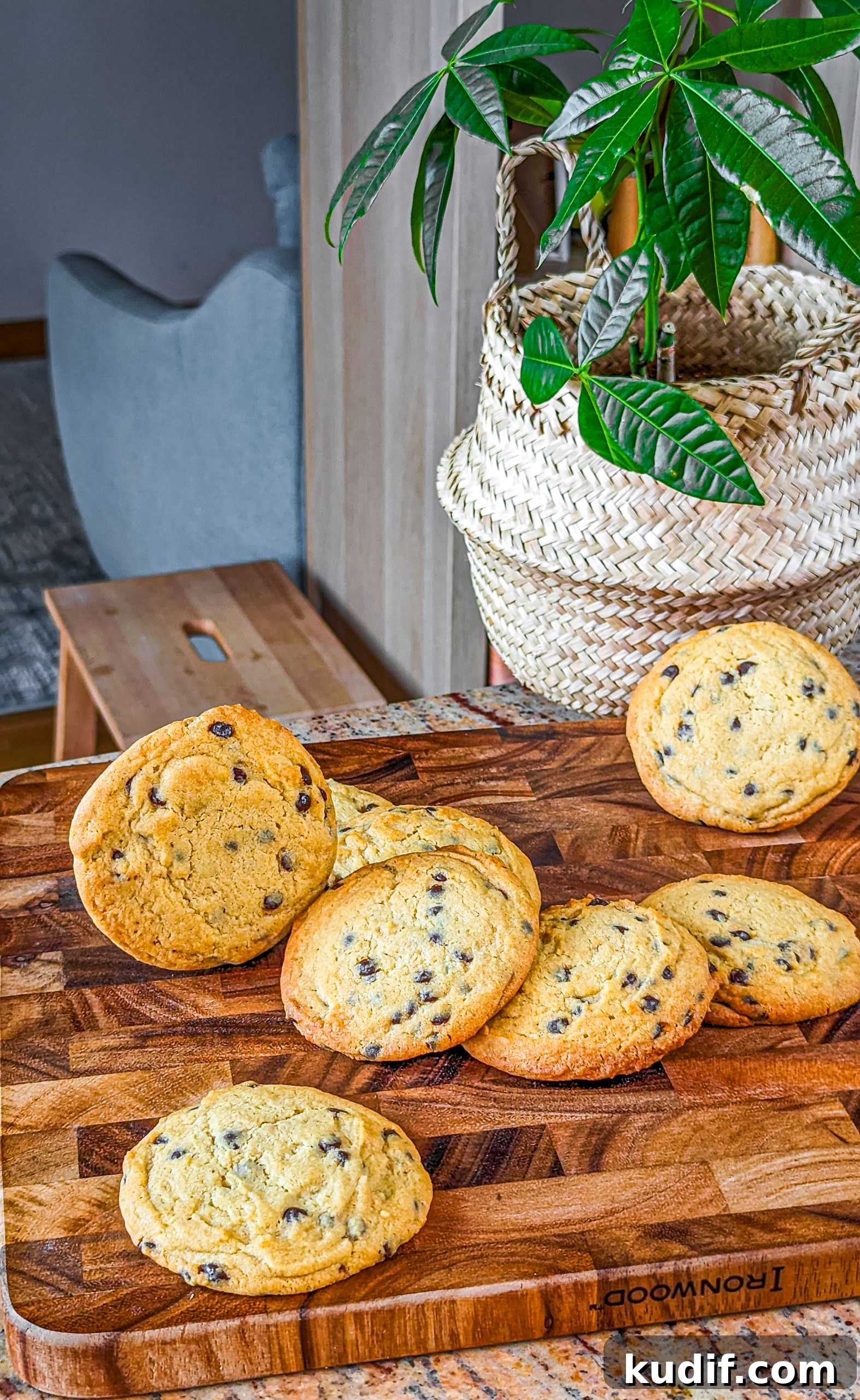 Classic Chewy Chocolate Chip Cookie Recipe 2 img 5739 1