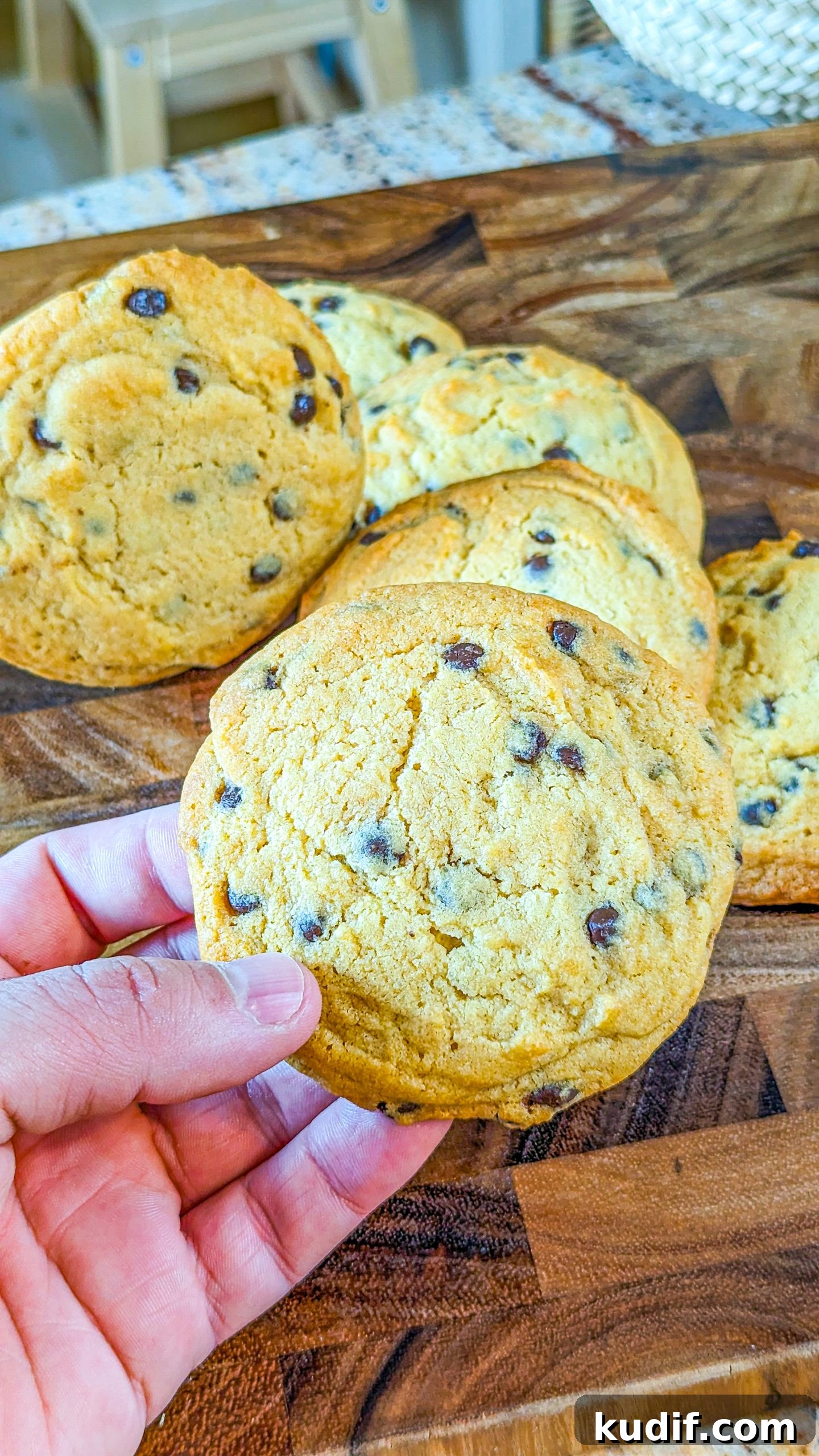 Classic Chewy Chocolate Chip Cookie Recipe 9 img 5739 14