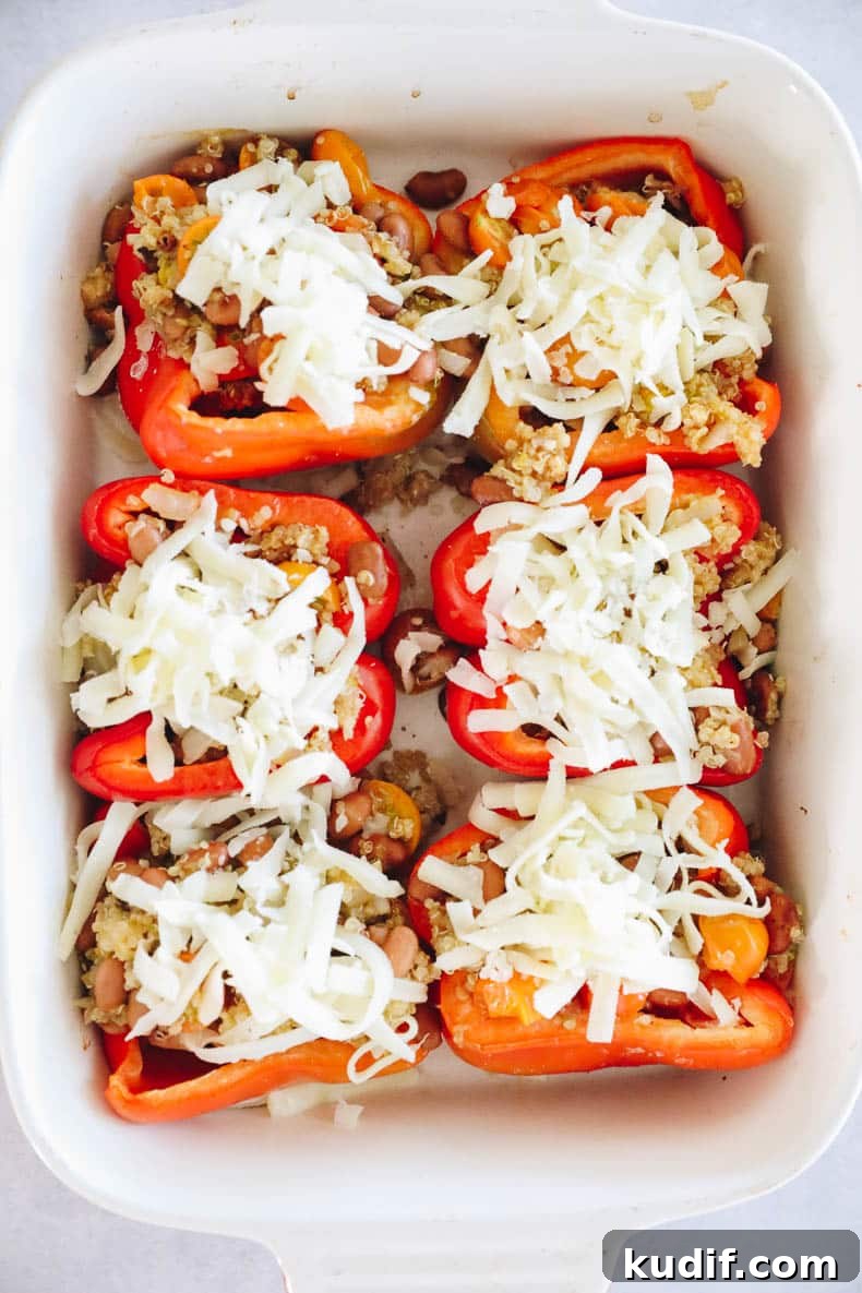 Quinoa-Stuffed Bell Peppers with Savory Tomato Filling 6 Quinoa stuffed peppers topped with cheese