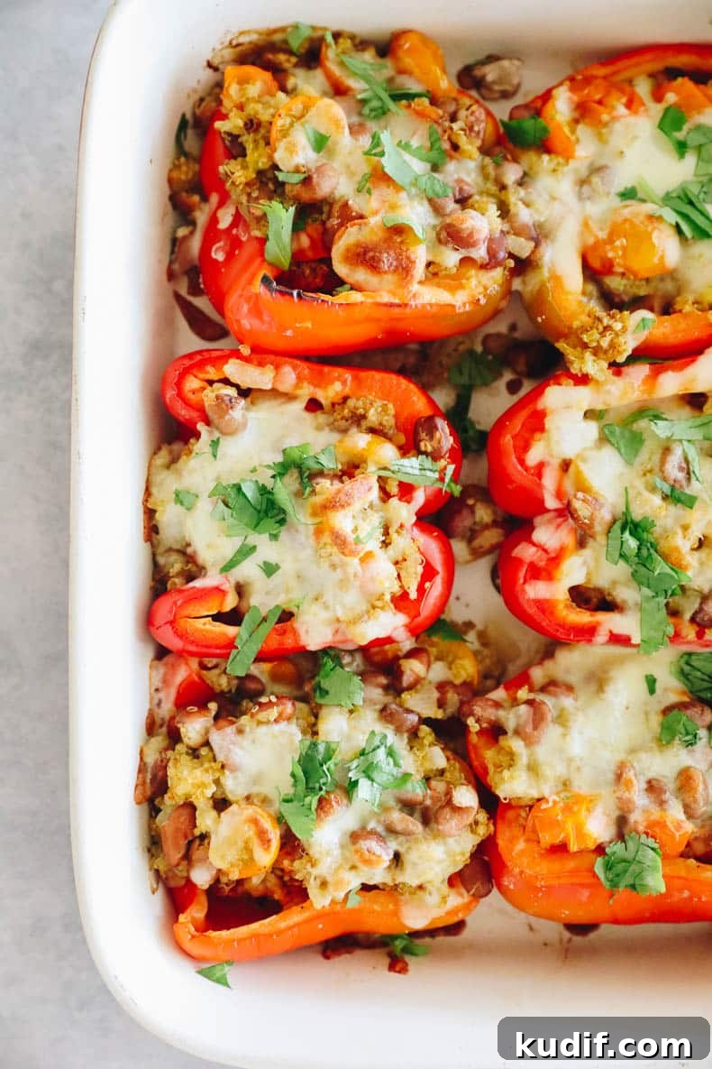 Quinoa-Stuffed Bell Peppers with Savory Tomato Filling 7 Quinoa stuffed bell peppers topped with melted cheese and baked.