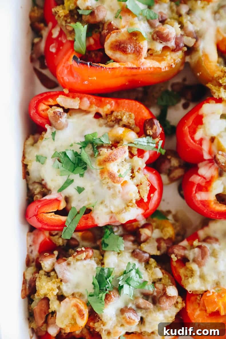 Quinoa-Stuffed Bell Peppers with Savory Tomato Filling 10 Up close overhead image of vegetarian stuffed peppers.