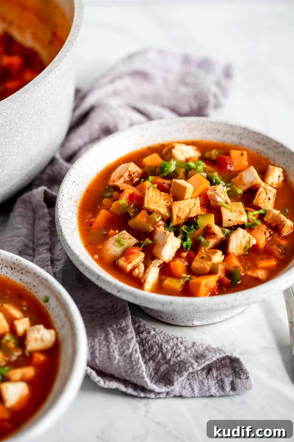 Hearty Chicken and Vegetable Soup Recipe for Cozy Weeknights 2 chicken vegetable soup in a bowl