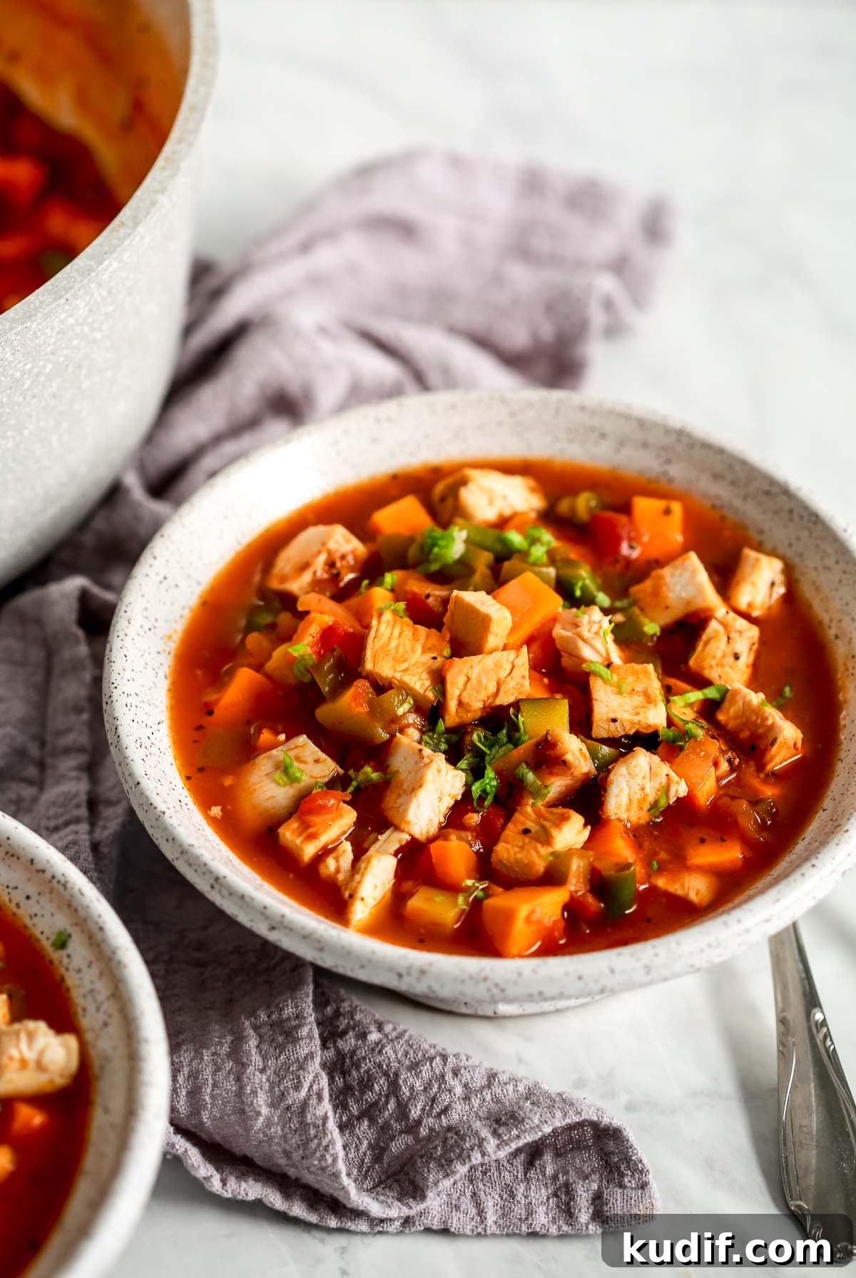 Hearty Chicken and Vegetable Soup Recipe for Cozy Weeknights 6 45 angle view of a bowl containing chicken vegetable soup